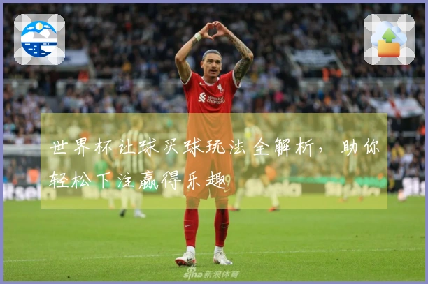 世界杯让球买球玩法全解析，助你轻松下注赢得乐趣