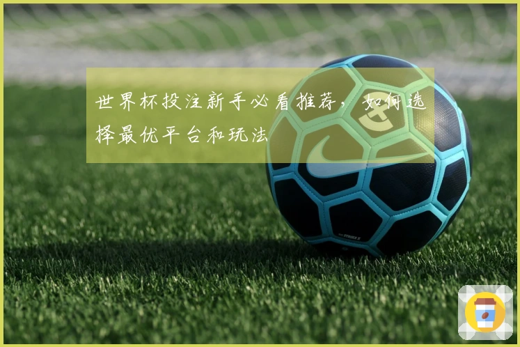 世界杯投注新手必看推荐，如何选择最优平台和玩法