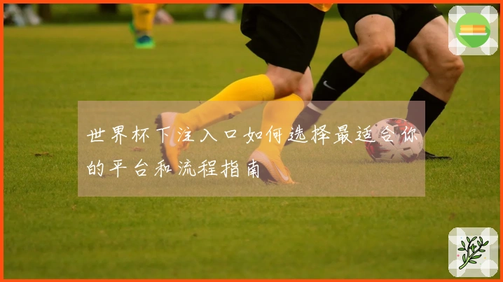 世界杯下注入口如何选择最适合你的平台和流程指南