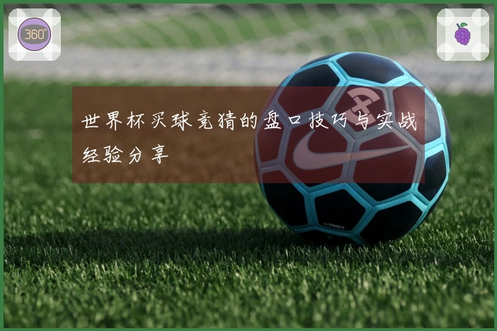 世界杯买球竞猜的盘口技巧与实战经验分享