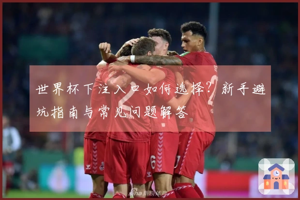 世界杯下注入口如何选择？新手避坑指南与常见问题解答