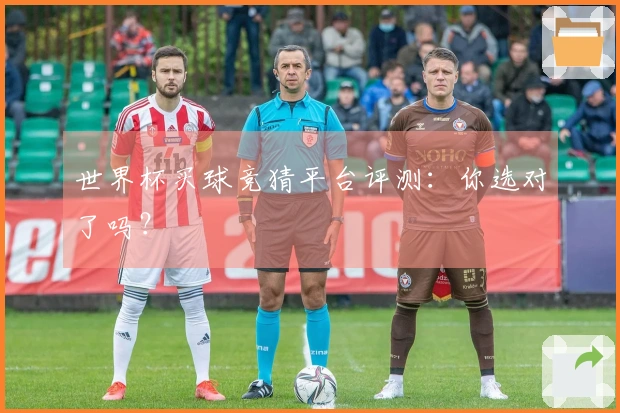 世界杯买球竞猜平台评测：你选对了吗？
