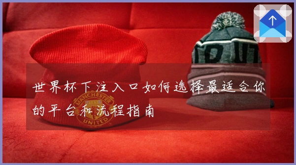世界杯下注入口如何选择最适合你的平台和流程指南