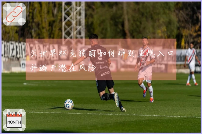 买世界杯竞猜前如何辨别正规入口并避开潜在风险