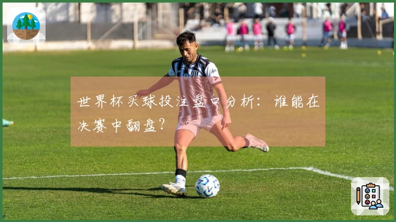 世界杯买球投注盘口分析：谁能在决赛中翻盘？