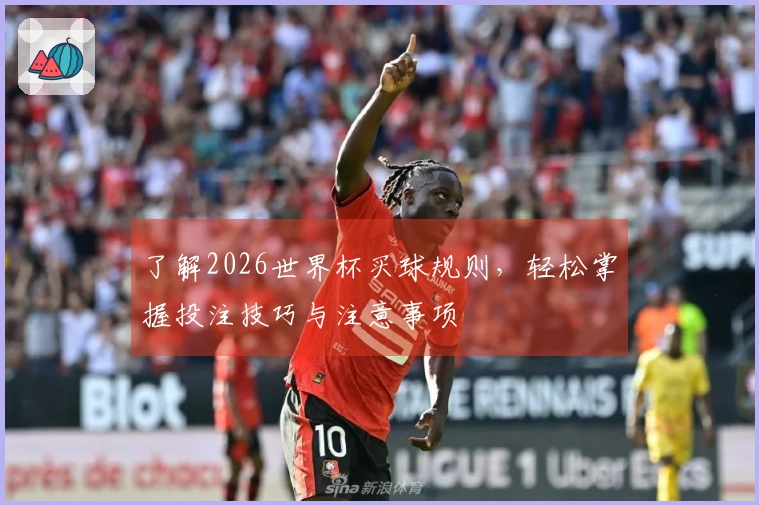 了解2026世界杯买球规则，轻松掌握投注技巧与注意事项