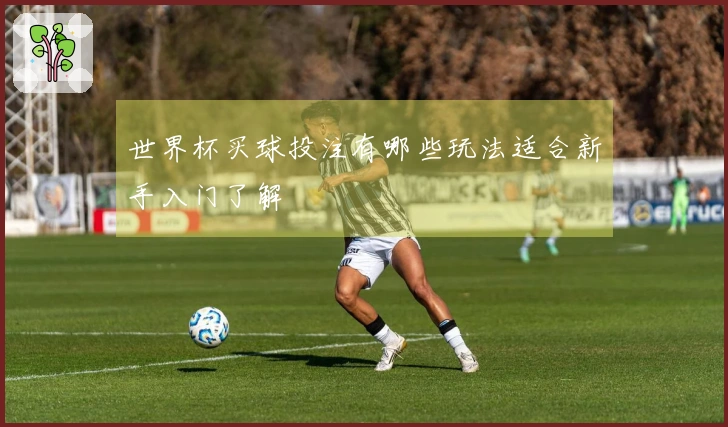 世界杯买球投注有哪些玩法适合新手入门了解