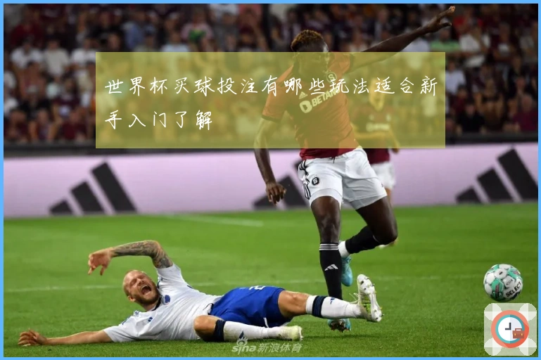 世界杯买球投注有哪些玩法适合新手入门了解